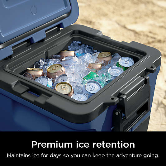 Ninja ® FrostVault™ 30-Qt. Wheeled Cooler with Dry Zone in Lakeshore Blue