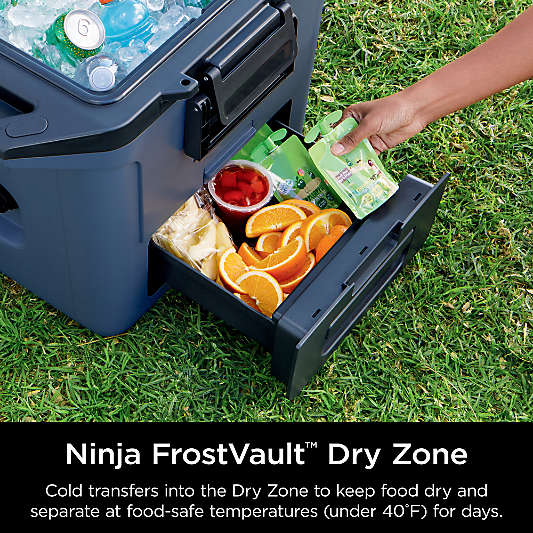 Ninja ® 30-Qt. Blue Frost Vault Cooler
