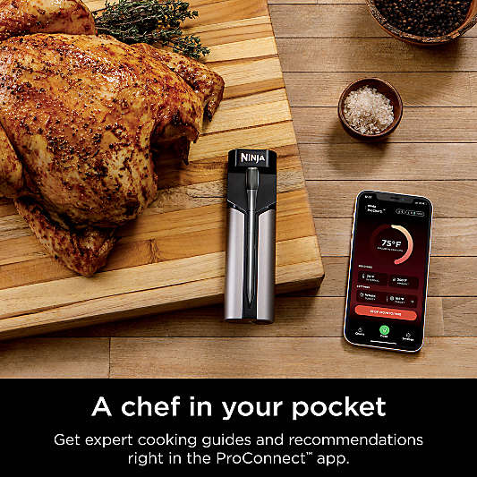 Ninja ProChef™ Wireless Thermometer