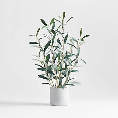 Faux Olive Tree Tree in Pot & Reviews