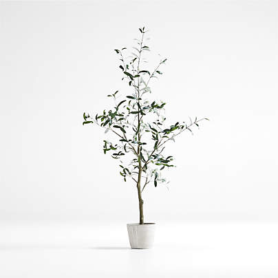 Faux Olive Tree in Pot 5'