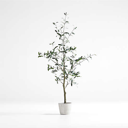 Faux Olive Tree in Pot 5'