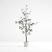 Emlyn Basket & Faux Olive Tree 7' Arrangement