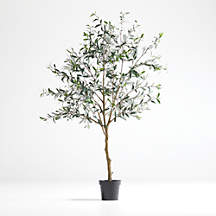 Faux Olive Tree in Pot 7' + Reviews | Crate & Barrel