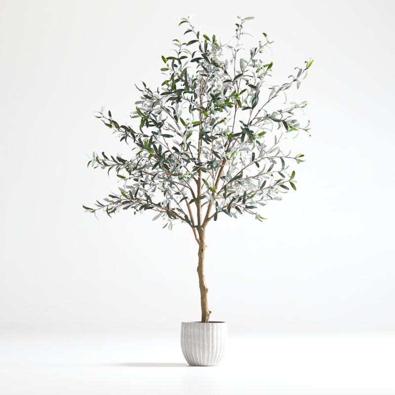 Faux Olive Tree in Pot 7' + Reviews | Crate & Barrel Canada