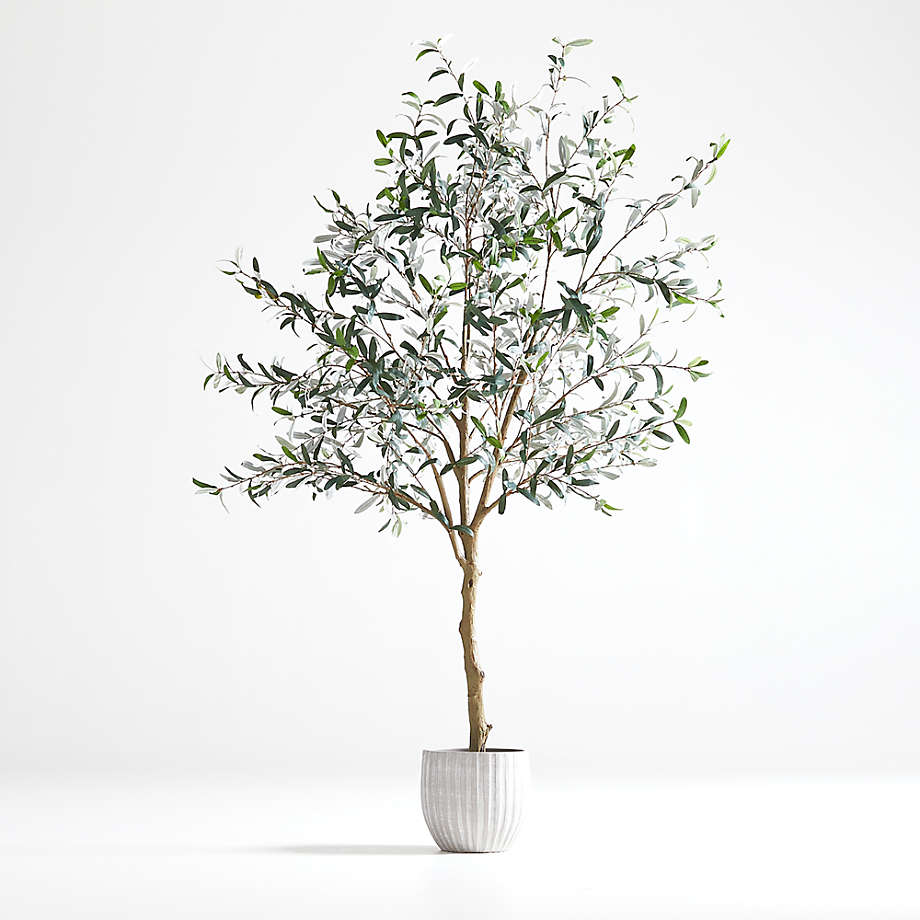 Faux Olive Tree in Pot 7' | Crate & Barrel
