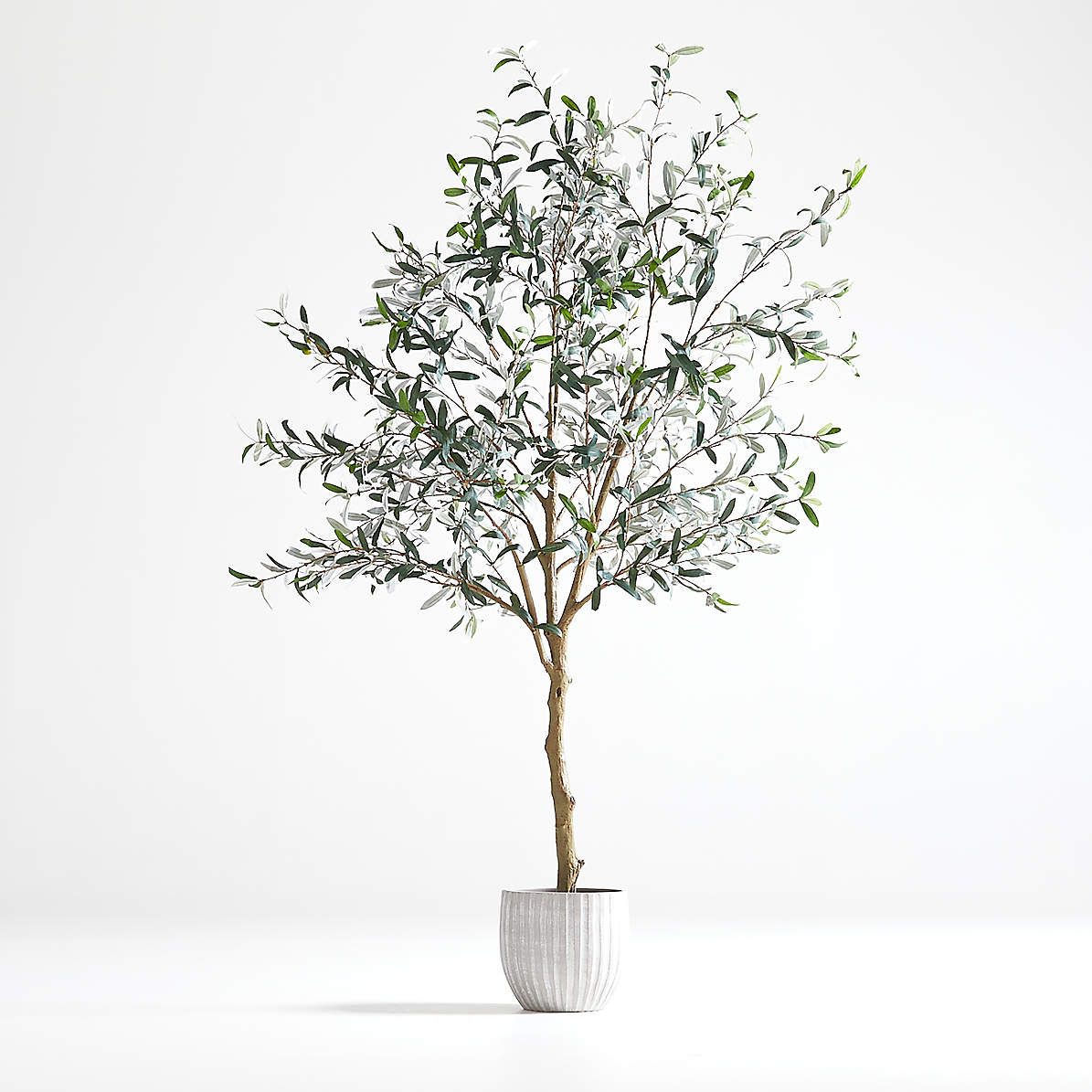 Afstemning Tap Mose Faux Olive Tree in Pot 7' + Reviews | Crate & Barrel