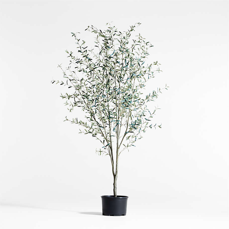 Potted Faux Olive Tree 9' + Reviews