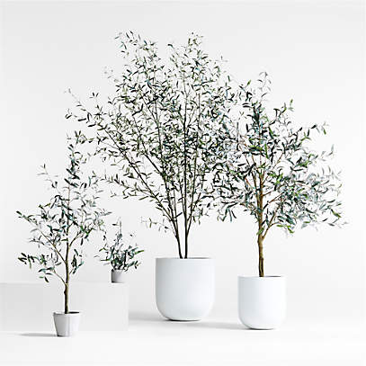 Potted Faux Olive Trees