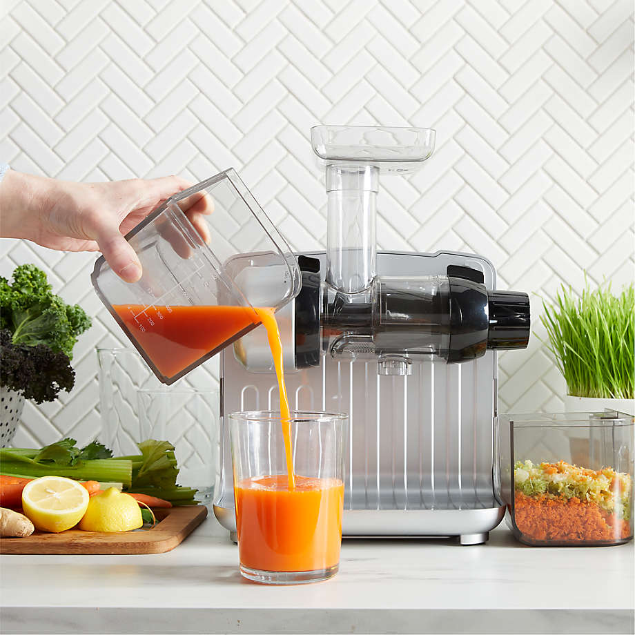 Omega Vertical Slow Masticating Juicer Reviews Crate Barrel