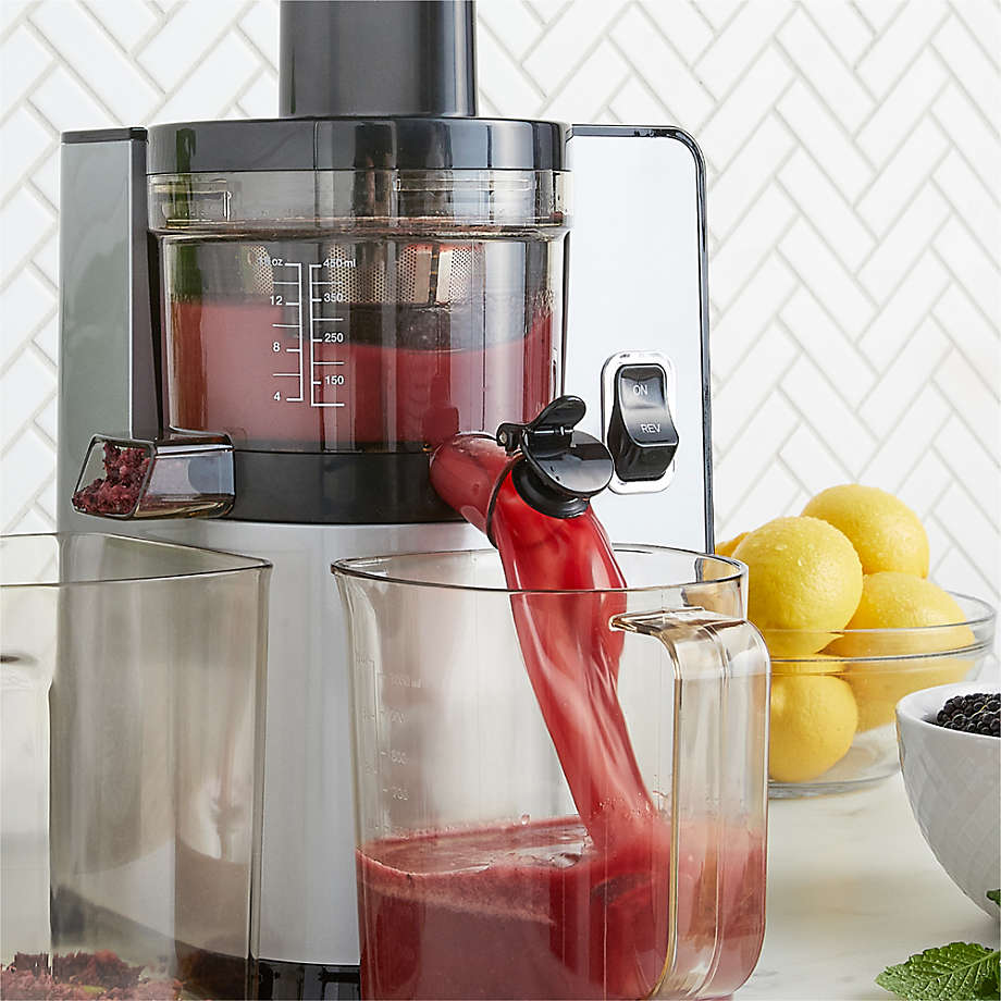 Omega Cold Press 365 Masticating Slow Juicer with OnBoard Storage