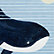 Orca