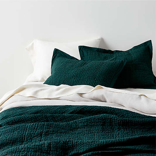 Celeste Organic Spruce Green Solid Quilt King