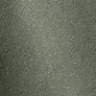 Ficus Green
