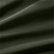 Ficus Green