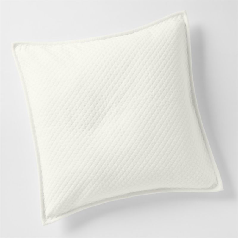 Organic Cotton Pampas Ivory Euro Sham Pillow Cover - image 0 of 4