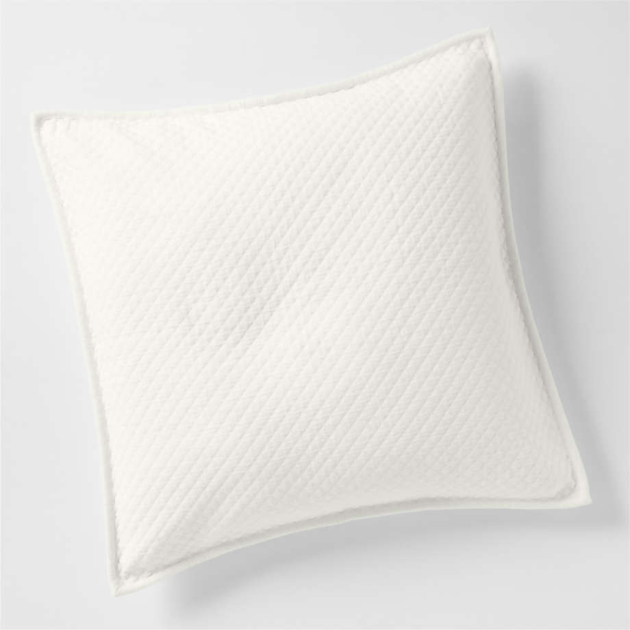 Organic Cotton Pampas Ivory Euro Sham Pillow Cover