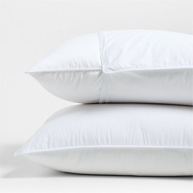 View Organic Cotton Standard Pillow Protector, Set of 2 details