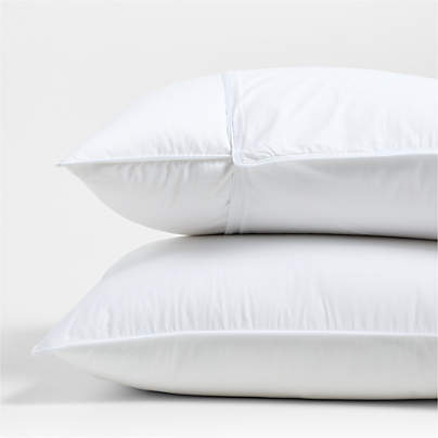 Organic Cotton King Pillow Protector, Set of 2