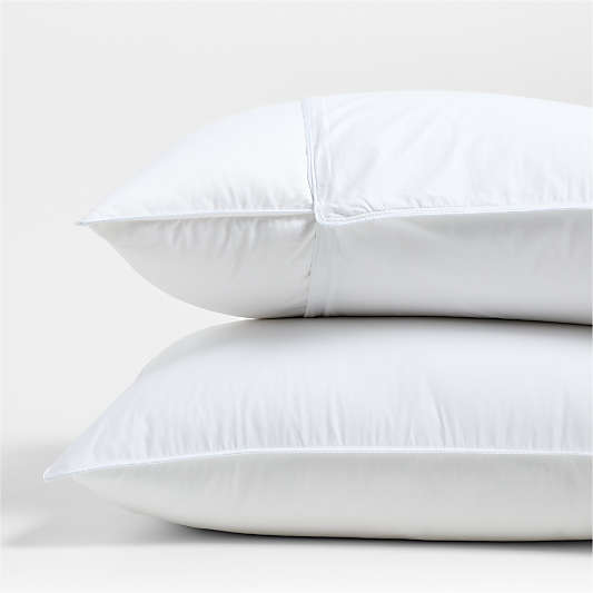 Organic Cotton Standard Pillow Protector, Set of 2