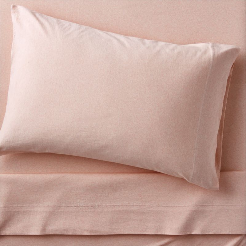 CozyCloud Organic Cotton Mini Floral Sky Blue Twin XL Sheet Set
