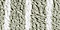 New! Shadow Sage and Pampas Ivory Stripe