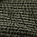 Ficus Green