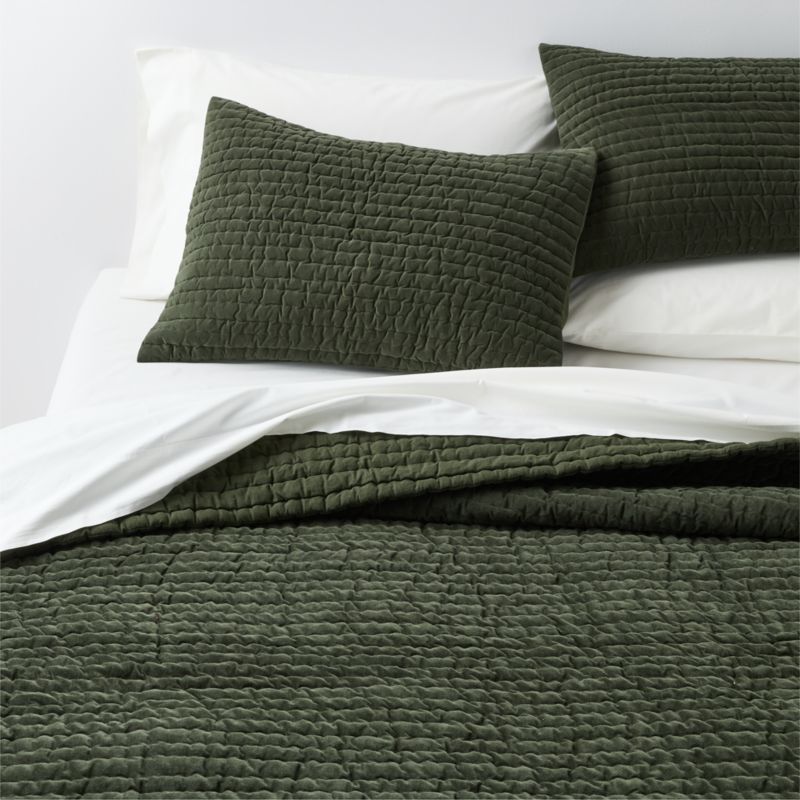 Organic Cotton Textured Velvet Ficus Green King Bed Pillow Sham - image 2 of 3
