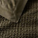 Ficus Green