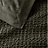 Ficus Green