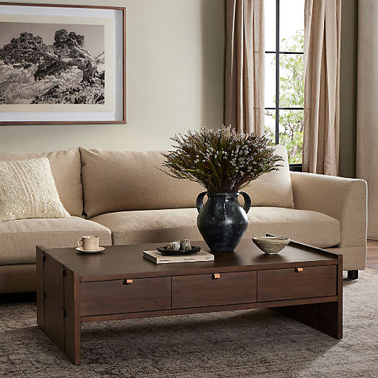 Oscar Brown Pine Wood 52" Rectangular Storage Coffee Table