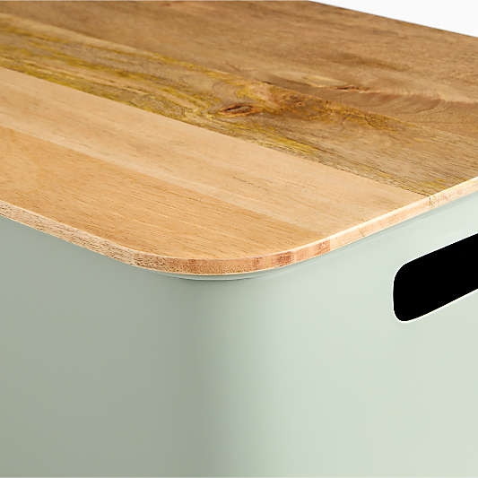 Outline Sage XL Toy Storage Bin with Lid