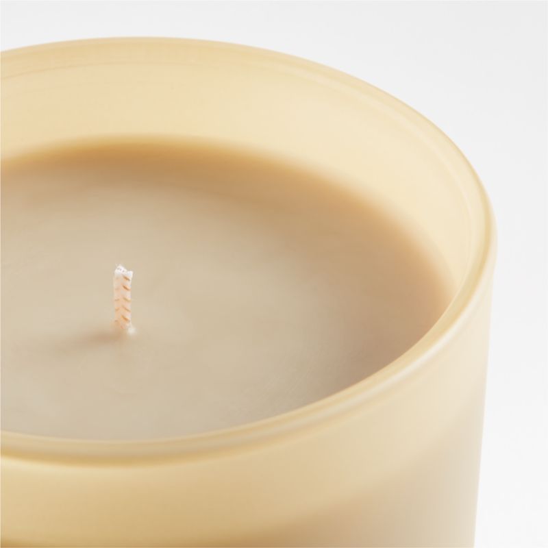 Monochrome No. 7 Pampas 1-Wick Scented Candle - Beach Grass, Nutmeg and Black Pepper - image 9 of 10