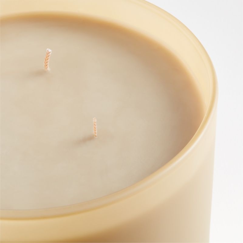 Monochrome No. 7 Pampas 3-Wick Scented Candle - Beach Grass, Nutmeg and Black Pepper - image 9 of 10