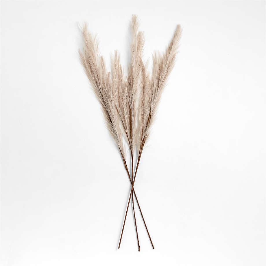 Dried Decorative Pampas Grass Bunch Set of 3