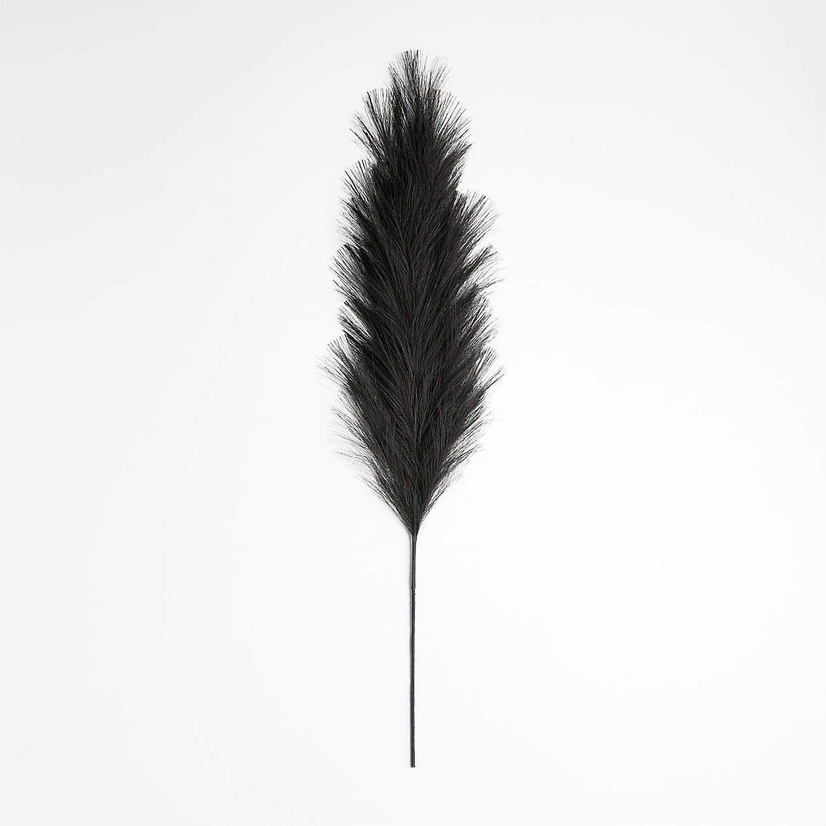 Artificial black pampas grass, 32'' - Décors Véronneau