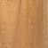 Sandy Acacia