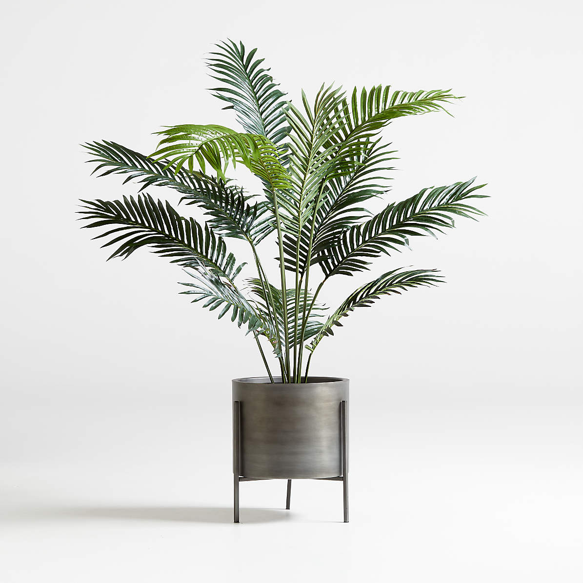 5' Faux Paradise Palm Plant + Reviews