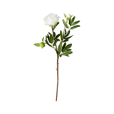 View Artificial White Peony Flower Stem details