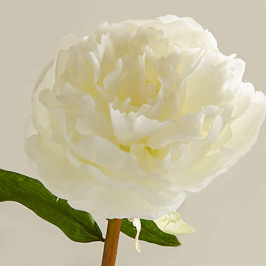 Artificial White Peony Flower Stem