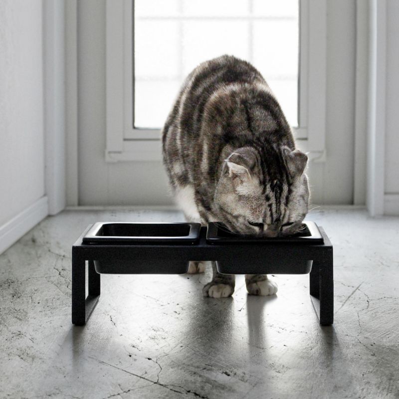 Yamazaki Tall Black Pet Food Bowl - image 1 of 3