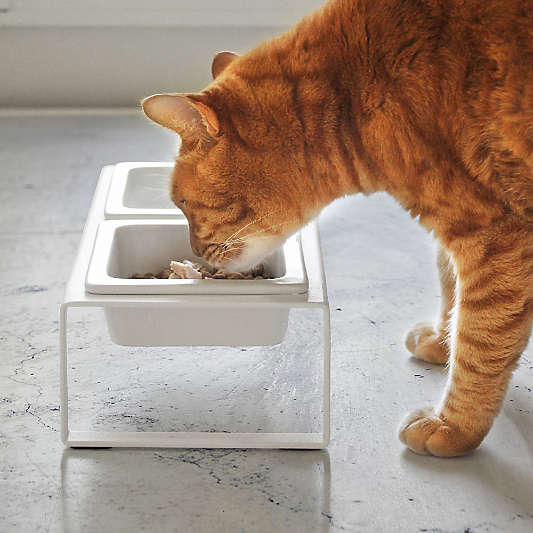 Yamazaki Tall White Pet Food Bowl