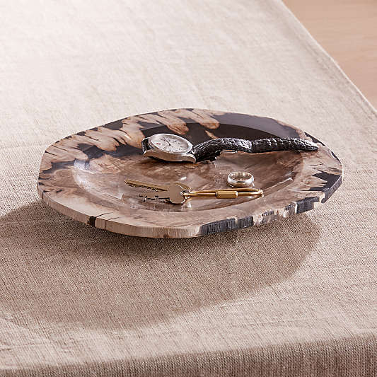 Petrified Wood Catch-All Tray