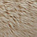 Fluffernutter