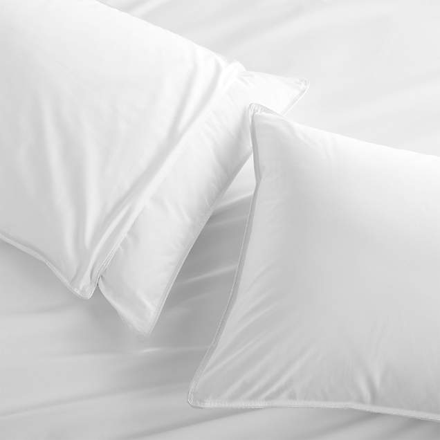 FeatherDown Standard Pillow + Reviews Crate & Barrel