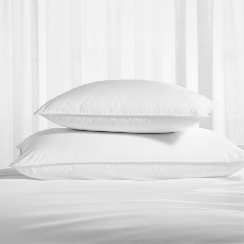 Standard Pillow Protectors, Set of 2 - image 1 of 4