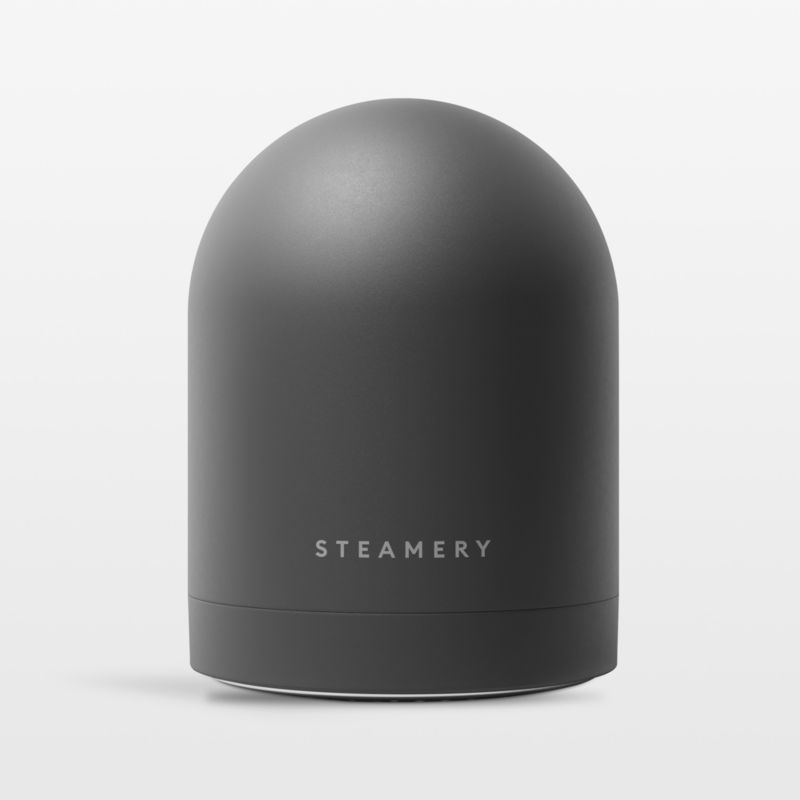 Steamery Pilo No.2 Charcoal Fabric Shaver - image 0 of 5