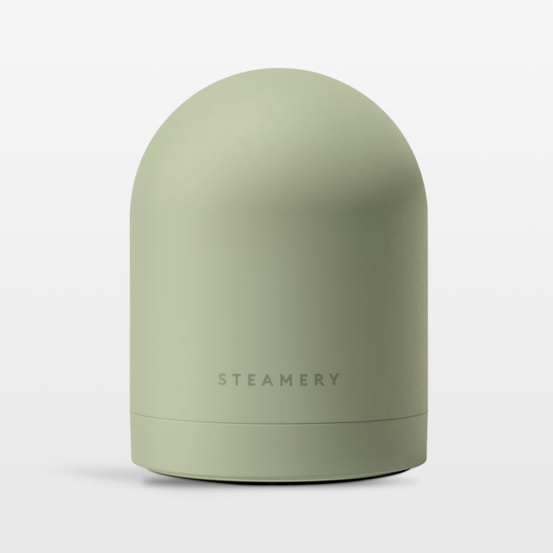 Steamery Pilo No.2 Sage Fabric Shaver - image 0 of 6