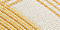 Savannah Yellow