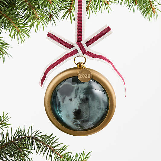 Pool of Light 2026 Frame Christmas Tree Ornament